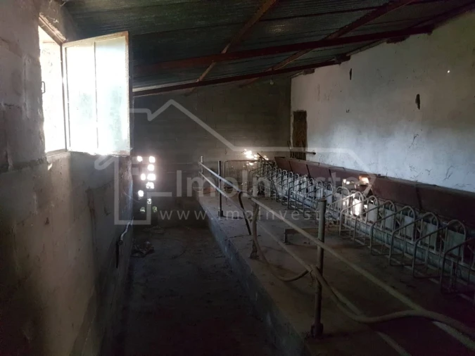 Quinta T2 para Venda em Alcains Foto 17