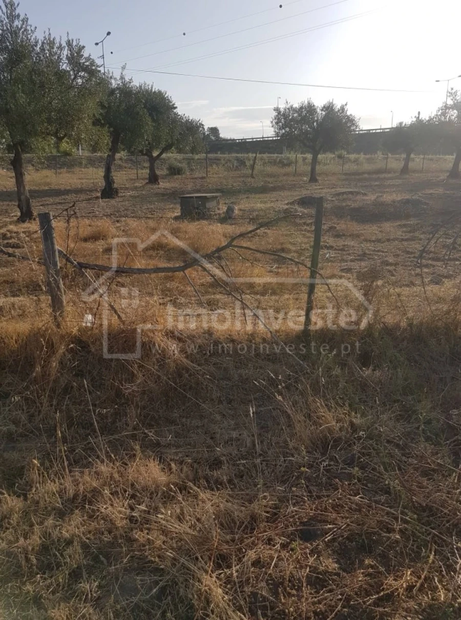 Quinta T2 para Venda em Alcains Foto 32