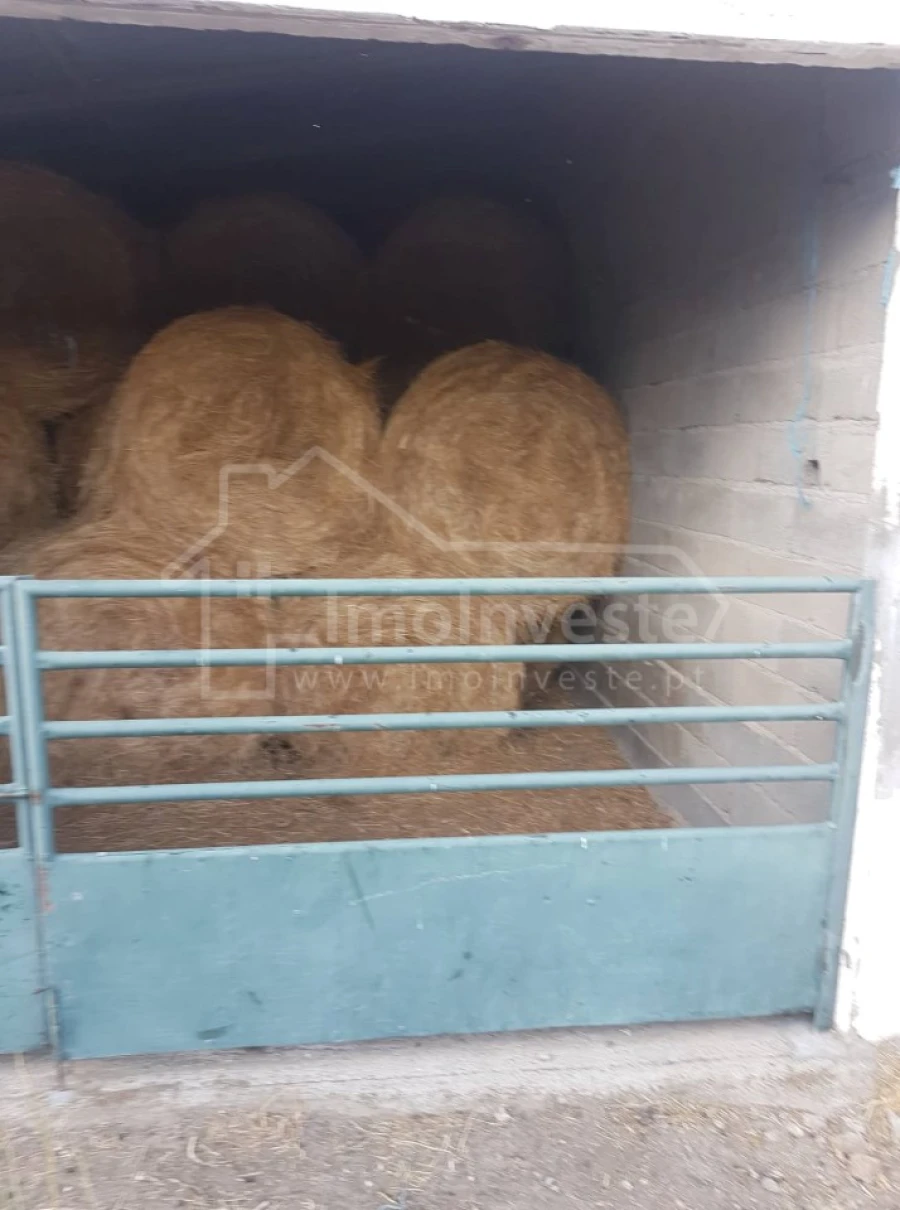 Quinta T2 para Venda em Alcains Foto 20