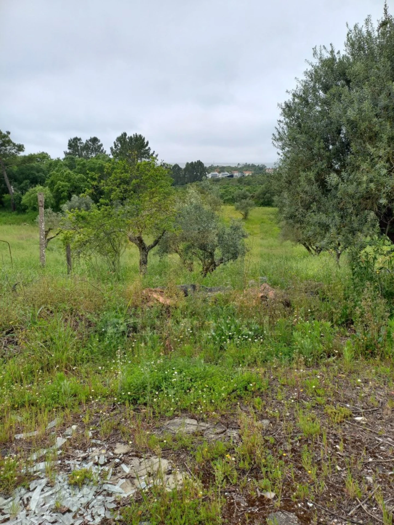 Armazém para Venda em Atouguia Foto 8