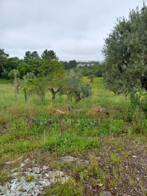 Armazém para Venda em Atouguia