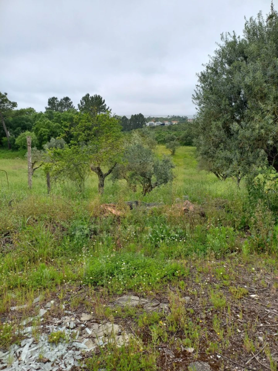 Armazém para Venda em Atouguia Foto 8
