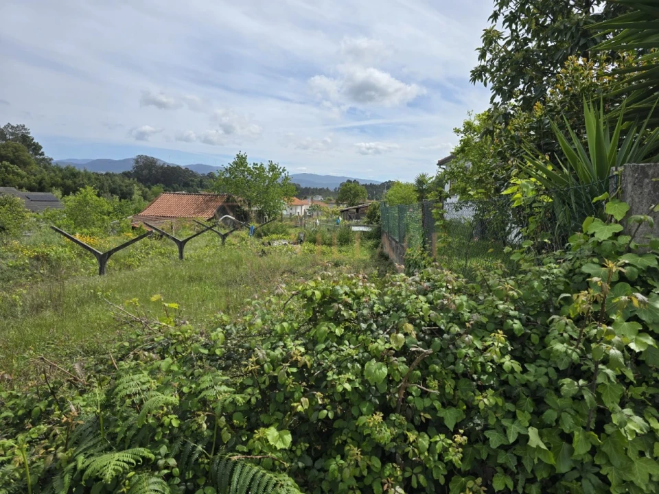 Terreno para Venda em Mazedo e Cortes Foto 1