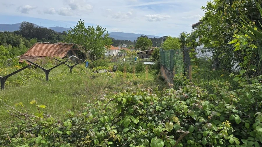Terreno para Venda em Mazedo e Cortes