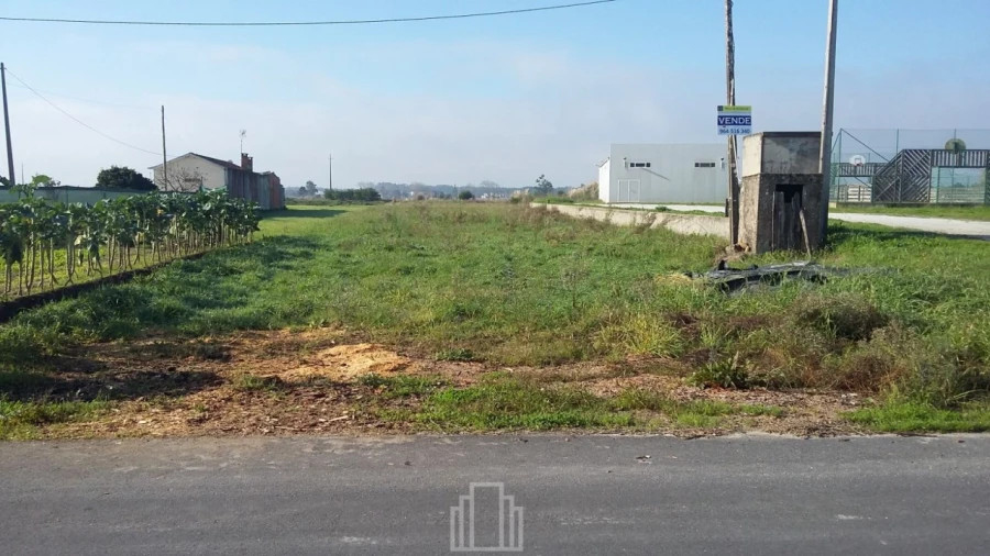 Terreno Agricola ou Rústico para Venda em Ovar, São João, Arada e São Vicente de Pereira Jusã Foto 2