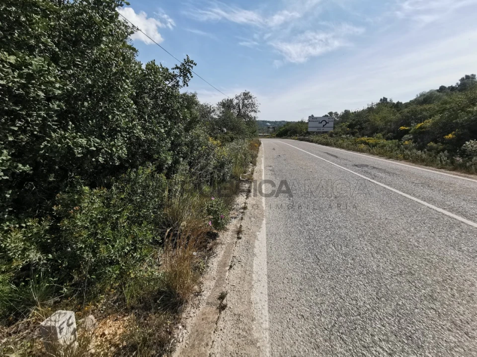 Terreno Agricola ou Rústico para Venda em Loule (São Sebastião) Foto 2