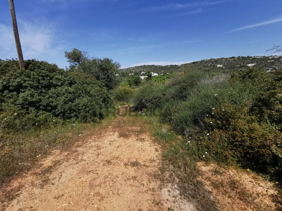 Terreno Agricola ou Rústico para Venda em Loule (São Sebastião) Foto 5