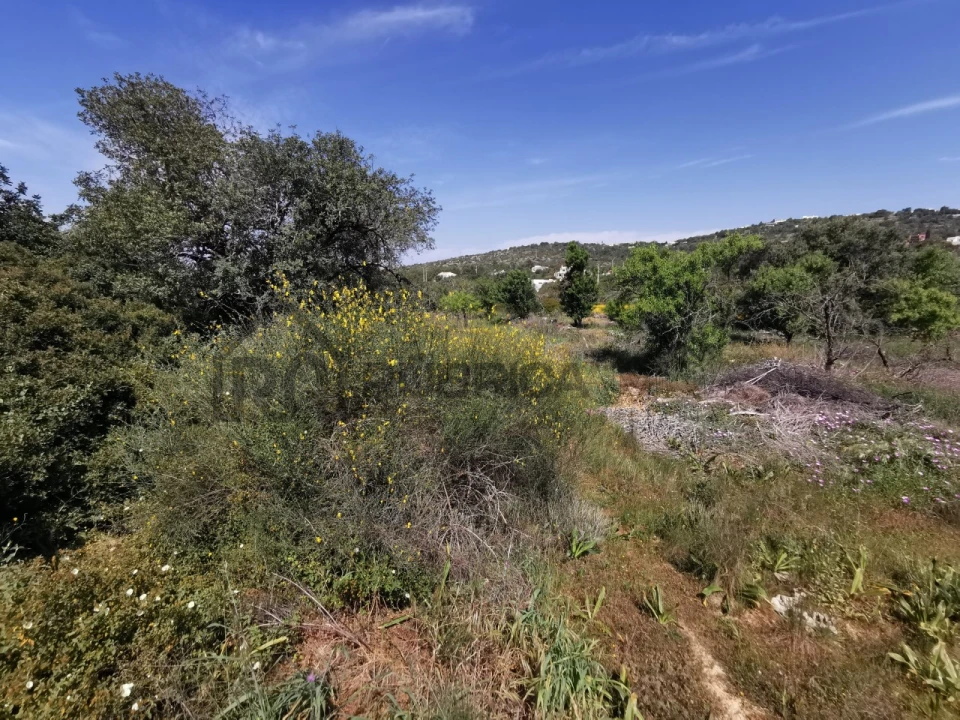 Terreno Agricola ou Rústico para Venda em Loule (São Sebastião) Foto 7