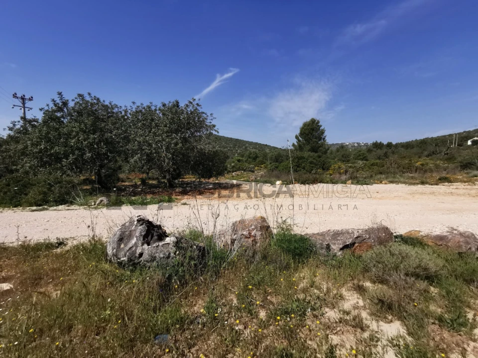 Terreno Agricola ou Rústico para Venda em Loule (São Sebastião) Foto 10
