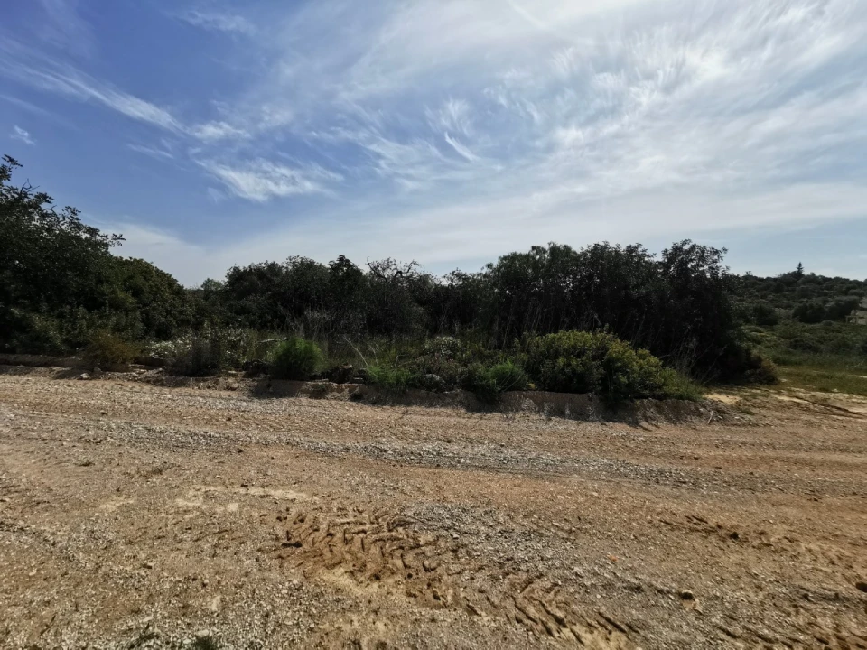 Terreno Agricola ou Rústico para Venda em Loule (São Sebastião) Foto 12