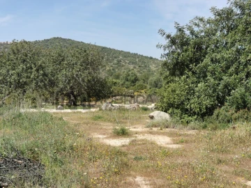 Terreno Agricola ou Rústico para Venda em Loule (São Sebastião)