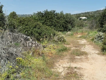 Terreno Agricola ou Rústico para Venda em Loule (São Sebastião)