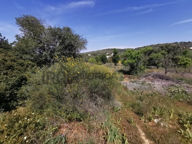 Terreno Agricola ou Rústico para Venda em Loule (São Sebastião) Foto 7