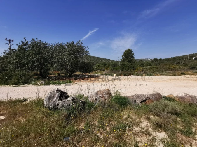 Terreno Agricola ou Rústico para Venda em Loule (São Sebastião) Foto 10