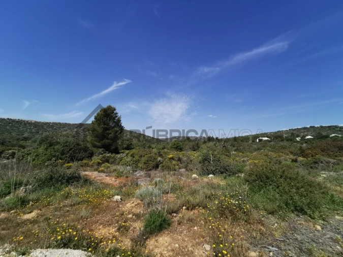Terreno Agricola ou Rústico para Venda em Loule (São Sebastião) Foto 11