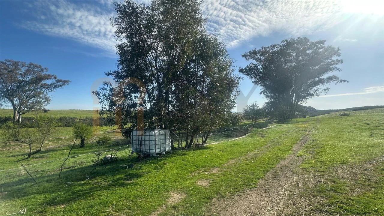 Terreno Agricola ou Rústico para Venda em São Marcos da Ataboeira Foto 4