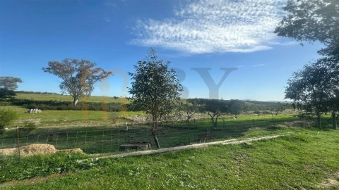 Terreno Agricola ou Rústico para Venda em São Marcos da Ataboeira