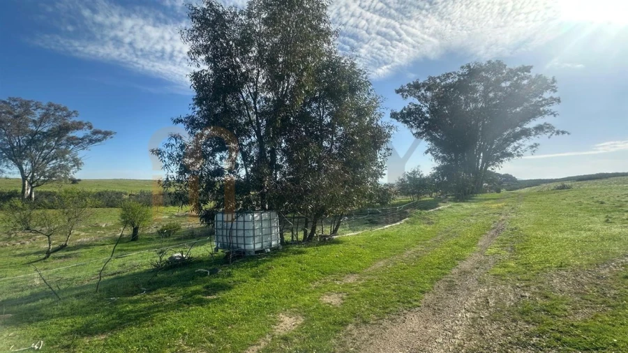 Terreno Agricola ou Rústico para Venda em São Marcos da Ataboeira Foto 4