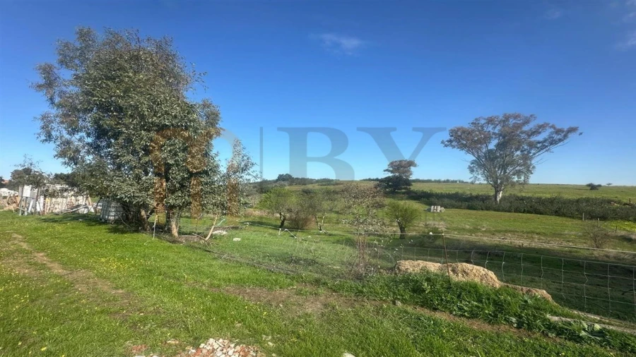 Terreno Agricola ou Rústico para Venda em São Marcos da Ataboeira Foto 3