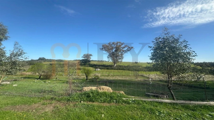 Terreno Agricola ou Rústico para Venda em São Marcos da Ataboeira Foto 2