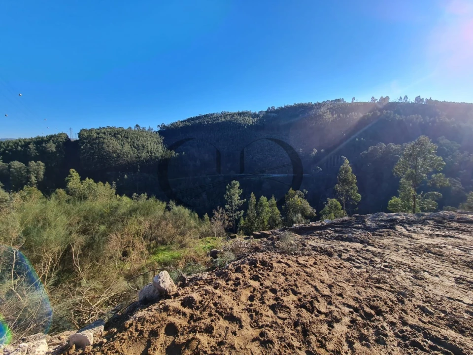 Moradia T3 para Venda em Rio de Moinhos Foto 4