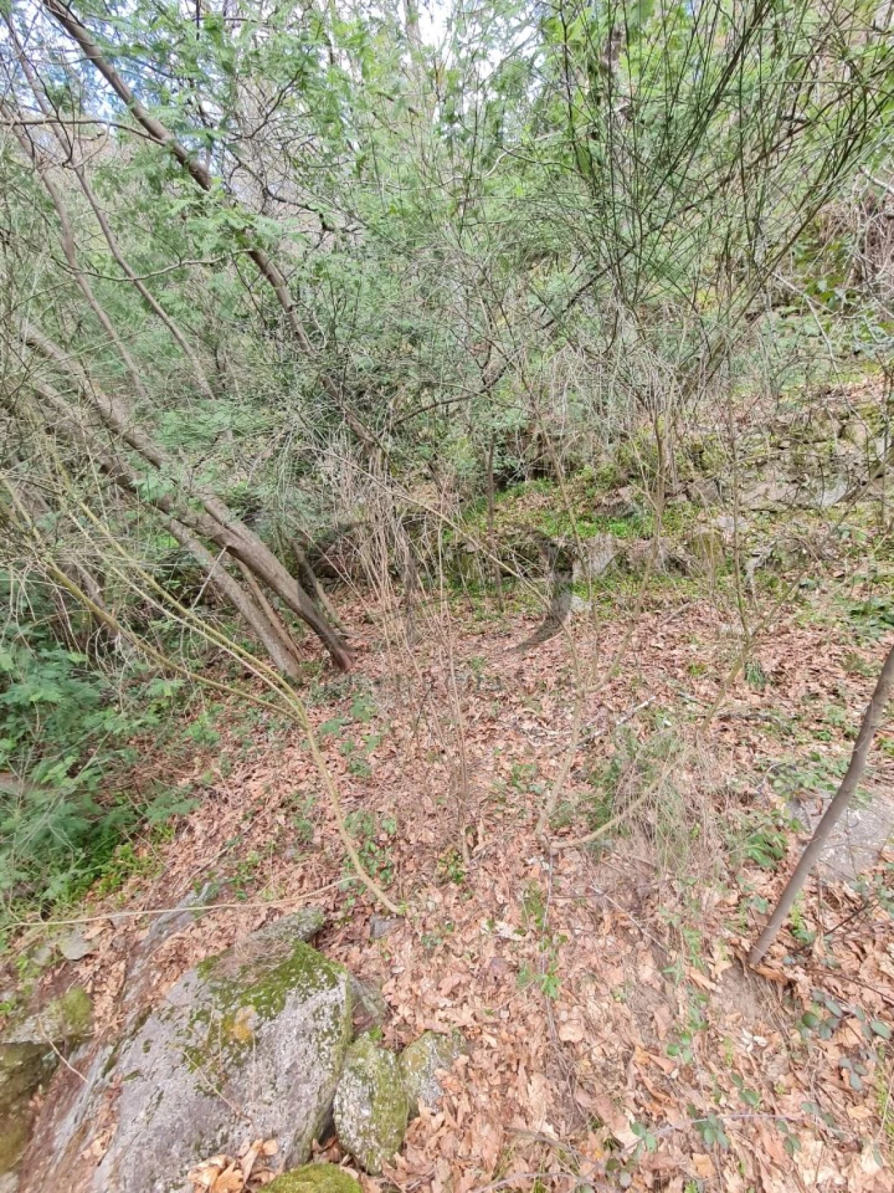 Moradia T3 para Venda em Rio de Moinhos Foto 14