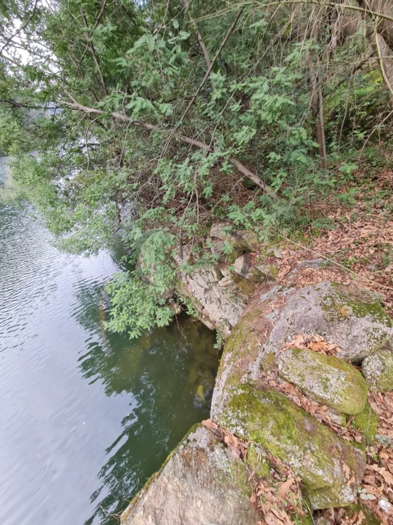 Moradia T3 para Venda em Rio de Moinhos Foto 15