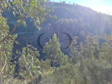 Moradia T3 para Venda em Rio de Moinhos