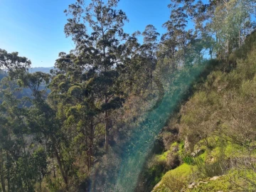 Moradia T3 para Venda em Rio de Moinhos