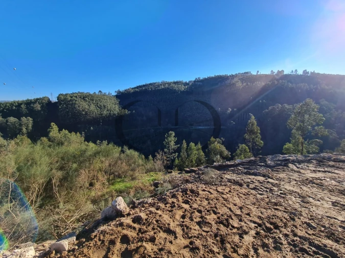 Moradia T3 para Venda em Rio de Moinhos Foto 4