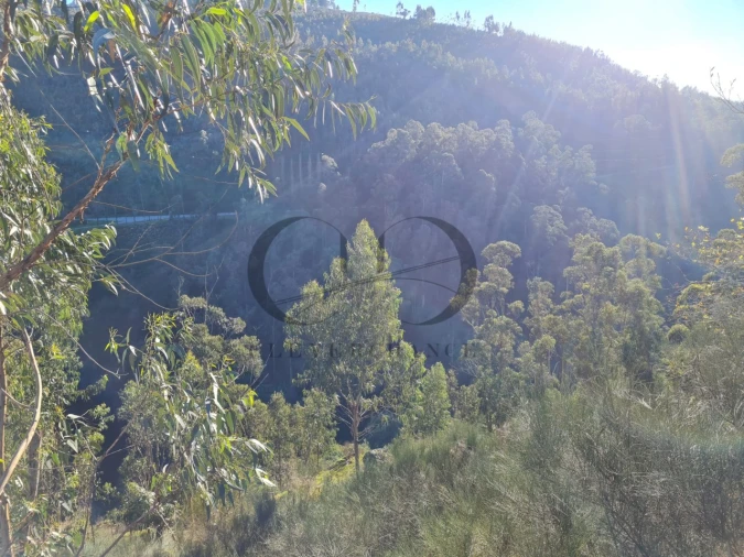 Moradia T3 para Venda em Rio de Moinhos Foto 8