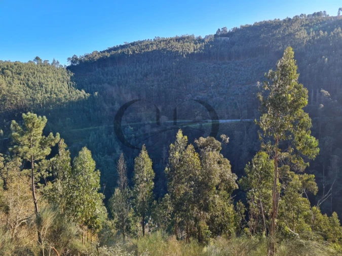 Moradia T3 para Venda em Rio de Moinhos Foto 11