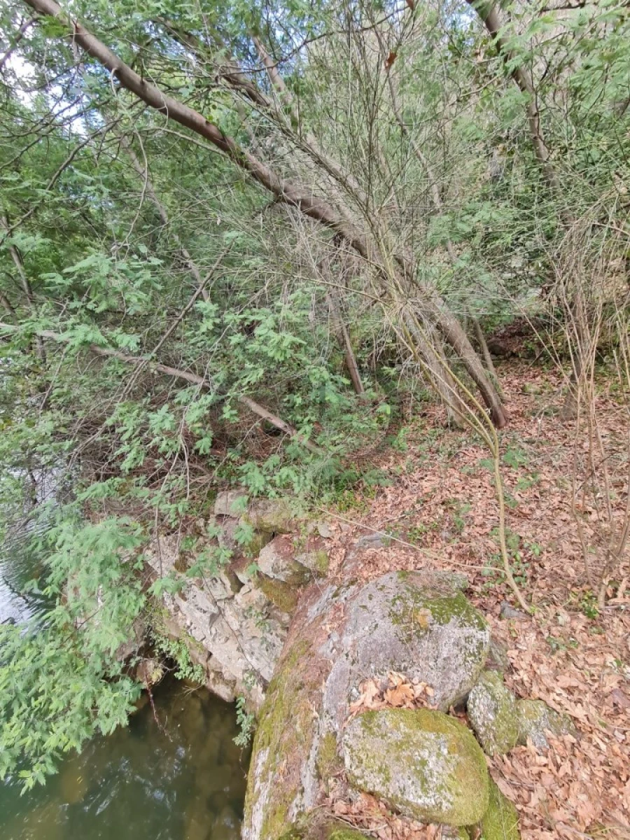 Moradia T3 para Venda em Rio de Moinhos Foto 16