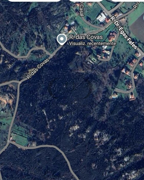 Terreno para Venda em Côja e Barril de Alva