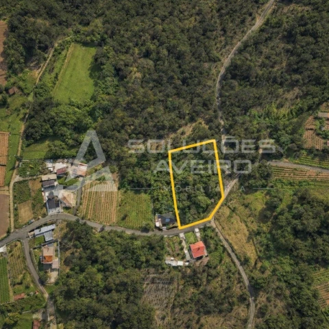 Terreno para Venda em Recardães e Espinhel