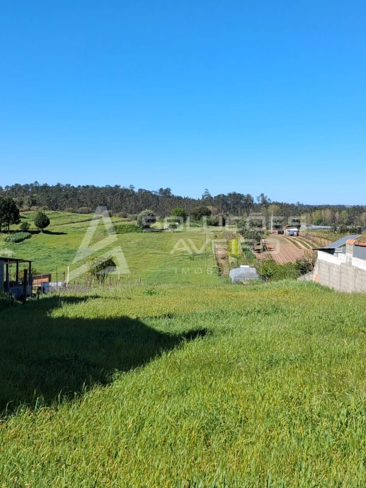 Terreno para Venda em Fermentelos Foto 3