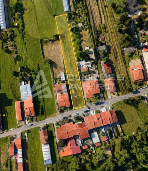 Terreno para Venda em Fermentelos