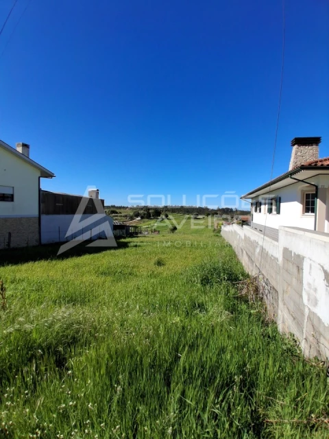 Terreno para Venda em Fermentelos