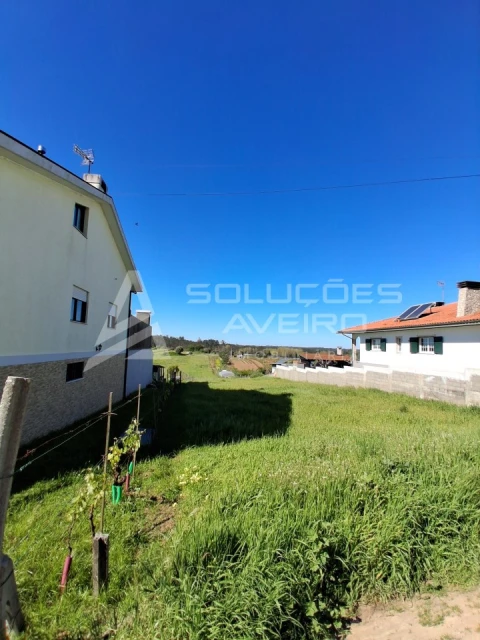 Terreno para Venda em Fermentelos