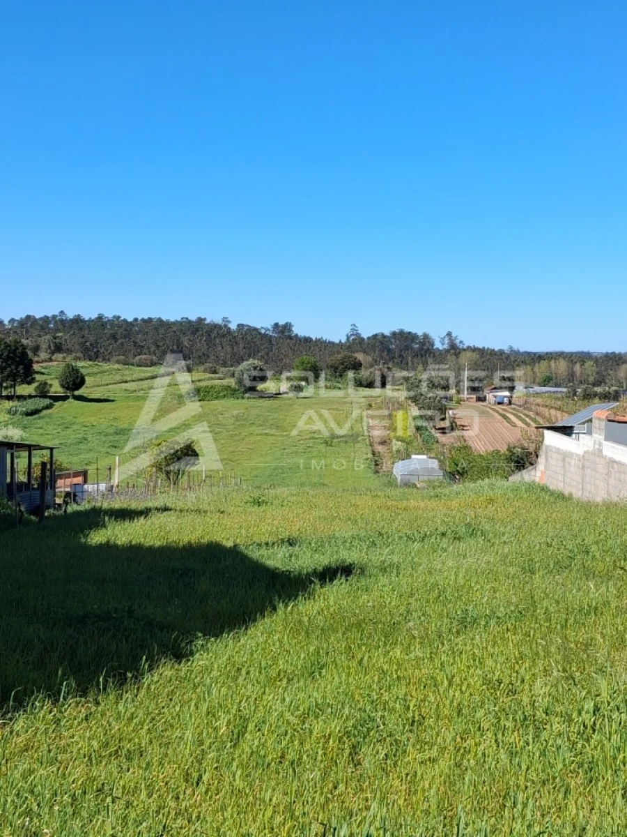 Terreno para Venda em Fermentelos Foto 3