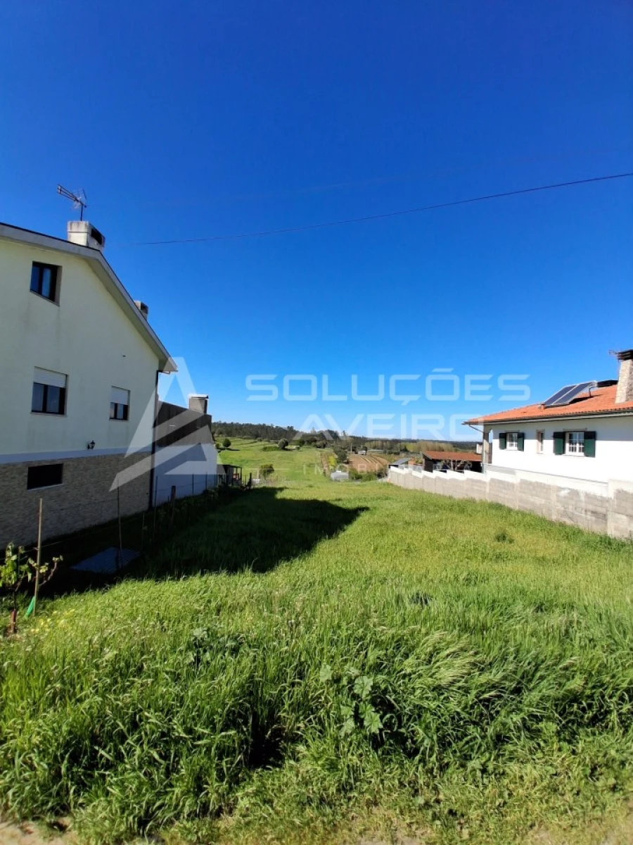 Terreno para Venda em Fermentelos Foto 5