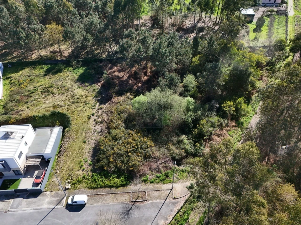 Terreno para Venda em Forjães Foto 2