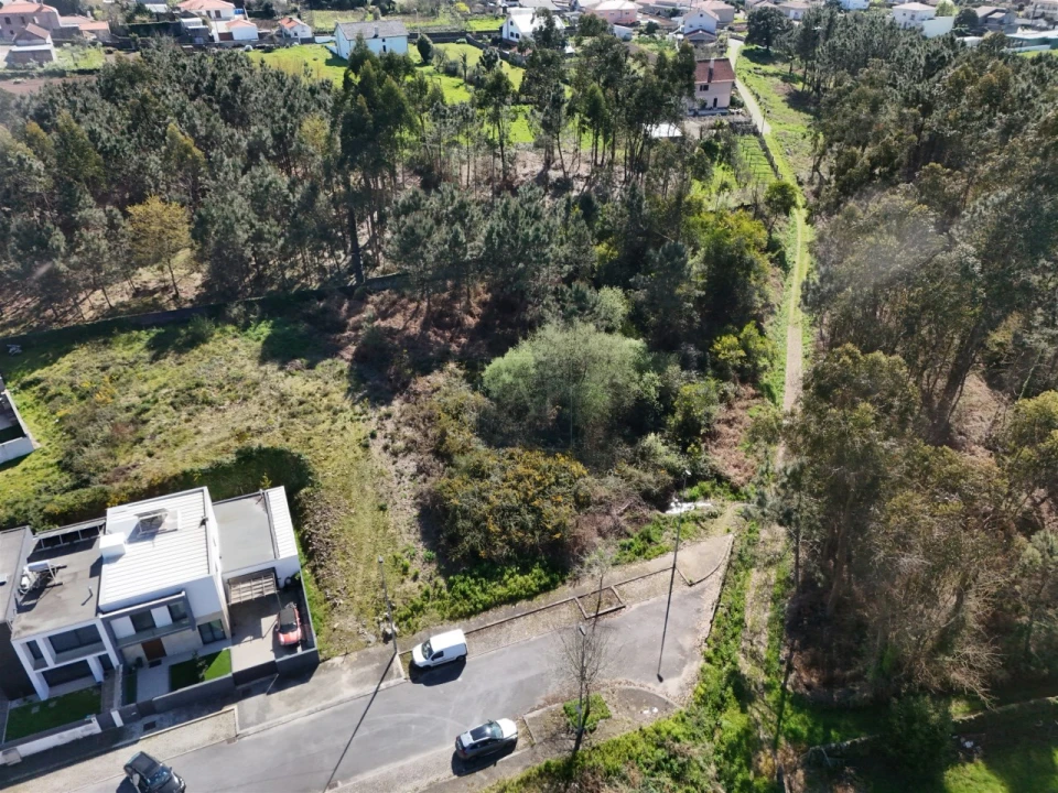 Terreno para Venda em Forjães Foto 3