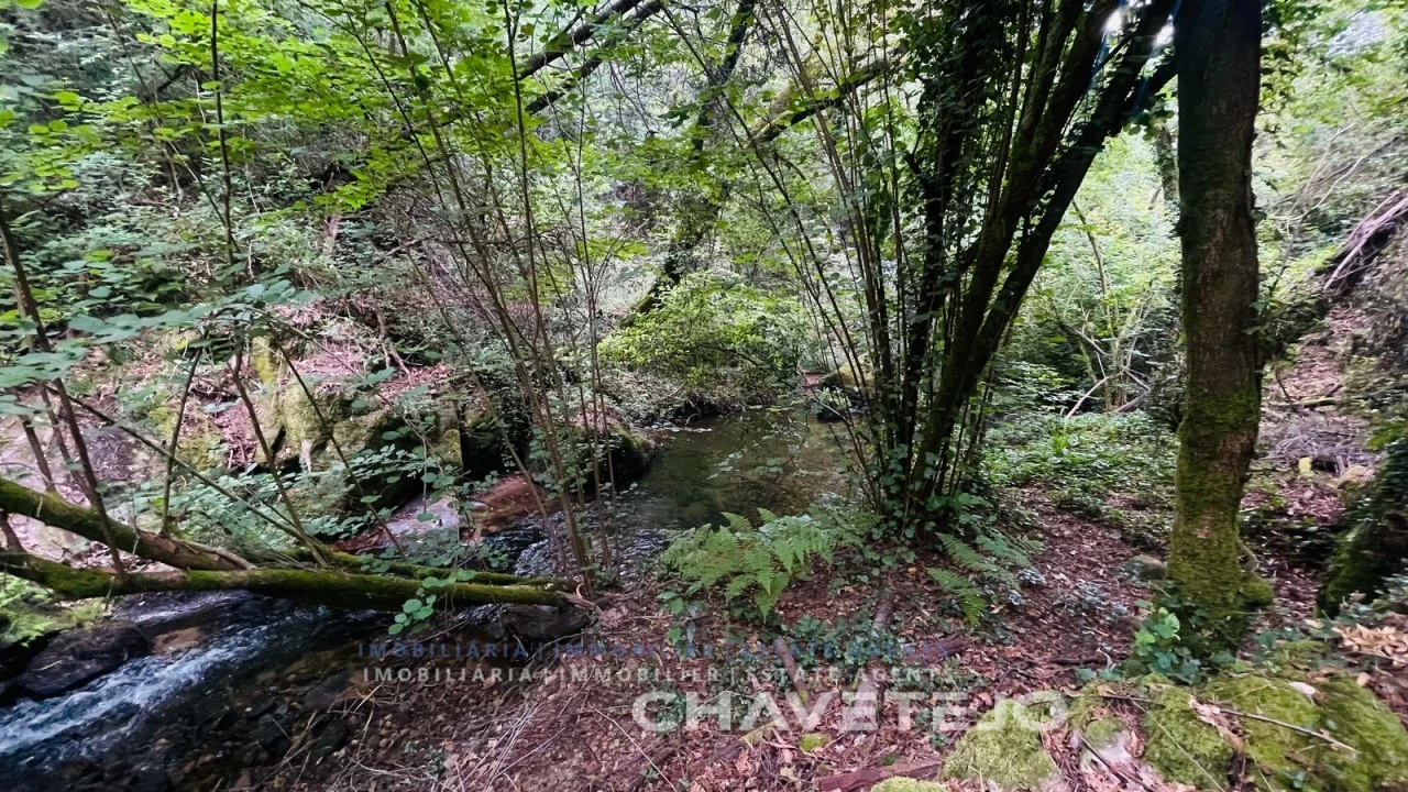 Quinta para Venda em Figueiró dos Vinhos e Bairradas Foto 1