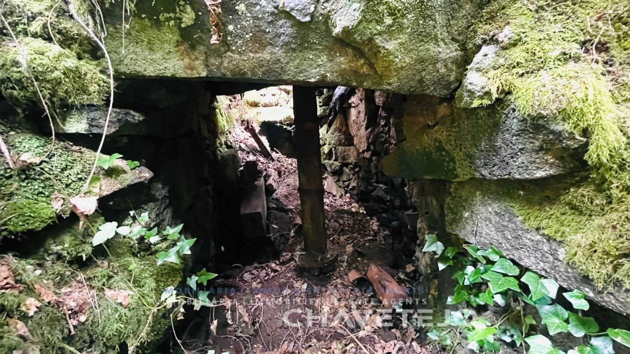 Quinta para Venda em Figueiró dos Vinhos e Bairradas Foto 5
