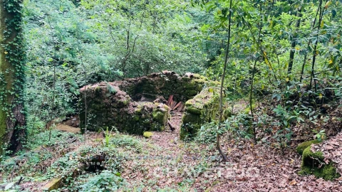 Quinta para Venda em Figueiró dos Vinhos e Bairradas