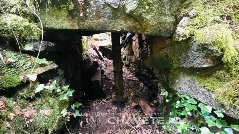 Quinta para Venda em Figueiró dos Vinhos e Bairradas