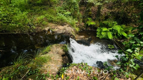 Quinta para Venda em Figueiró dos Vinhos e Bairradas