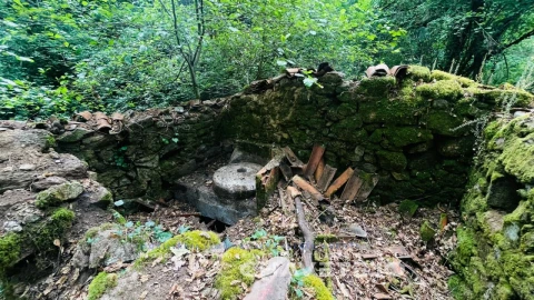 Quinta para Venda em Figueiró dos Vinhos e Bairradas