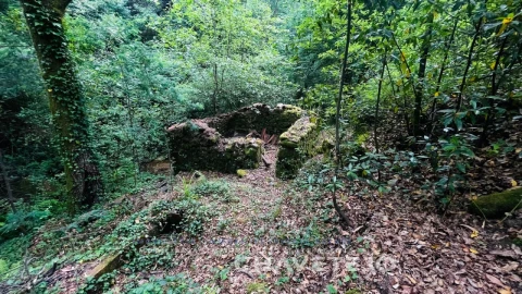 Quinta para Venda em Figueiró dos Vinhos e Bairradas